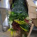 ODTORY Artificial Plant Wall Panels: 70"120" UV-Anti Faux Grass Wall Backdrop Boxwood Ivy Fence Privacy Screen Fake Greenery Leaf Hedge for Outdoor,Indoor,Garden,Backyard and Home Decor