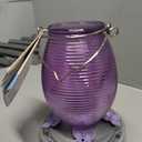 Nature's Way Hanging Glass Hummingbird Feeder for Outdoor Decor, 29 Ounce Capacity Nectar Feeder, 4 Easy to Clean Flexible Ports, Purple Lilac