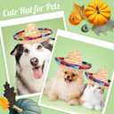 Pasimy 12 Pcs Cinco De Mayo Fiesta Sombrero Headband Hat Fake Mustache Mexican Party Favors Costume Luau Event Photo Props