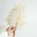 10PCS Exquisite Assortment of Dried Leaves and Floral Stems - Leaf and Flower Decor, White Eucalyptus, Artificial Fern, Skeleton Leaves for Stunning Decor