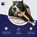 Devil Dog Pet Co. Bully Sticks  6 Inch, 25 Pack, Standard Sized Dog Chews, 100% Natural, Single Ingredient, Free-Range Grass-Fed Beef  Long Lasting, Rawhide-Free Treats for Dogs