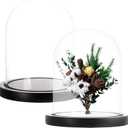 ZOOFOX Set of 2 Glass Dome Cloche with Black Wooden Base, 5.7" x 6.5" Decorative Bell Jar Display Dome for Plants, Fairy Lights, Photos, Succulents and Medals