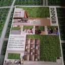 20"x 20"(8P), Artificial Greenery Grass Wall Boxwood Plant Panels