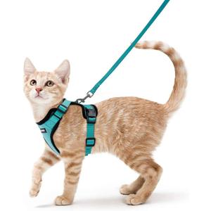 rabbitgoo Cat Harness and Leash for Walking, Escape Proof Soft Adjustable Vest Harnesses for Cats, Easy Control Breathable Reflective Strips Jacket, Emerald, S