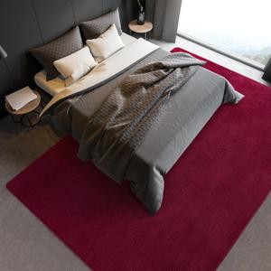 Wine Red Rugs for Bedroom Girls Soft Throw Rug for Nursery Dorm Kids Room Washable Living Room Rugs Large Area Rugs 6x9 Thickened Memory-Foam Rug Carpet Apartment Home Decor