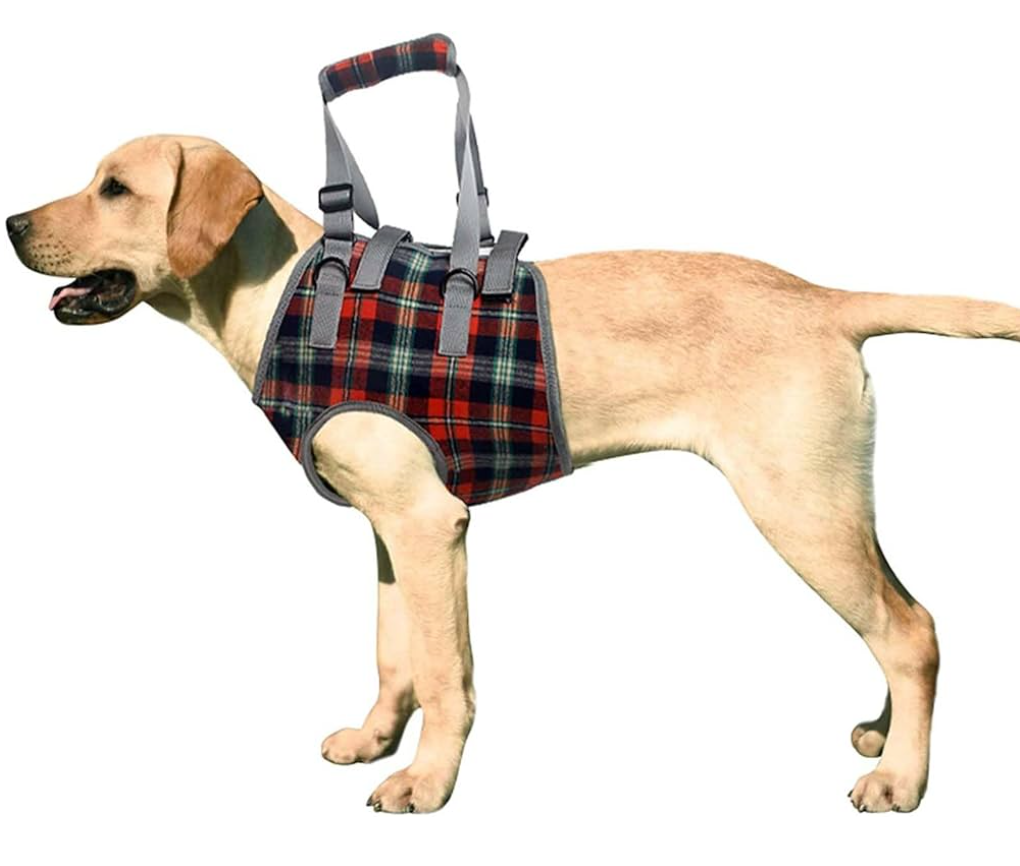 ROZKITCH Dog Lift Harness, Grid Pet Chest Support Aid Veterinarian Approved Sling for Old K9 Help with Poor Stability, Front Legs Disabled Joint Injury Elderly Arthritis ACL Rehabilitation Rehab. Size XL