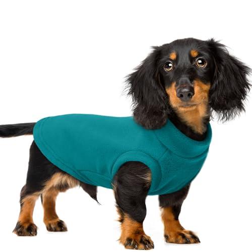 PUMYPOREITY Fleece Sphynx Cat Clothes, Warm Thick Cat Sweater, Soft Winter Coat for Hairless Cats, Cold Weather Pet Sweater for Dogs and Cats, Blue, 2XL
