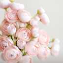 Ling's moment Ranunculus Artificial Flower, Faux Silk Mini Ranunculus Flowers for DIY Bouquet, Bulk Fake Wedding Filler Flowers for Centerpieces Arrangements Bridal Shower Decorations, Blush Pink