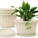 Quarut 14 Inch Plastic-Flower-Pot-for-Indoor-Plants, 4 Pack Large Outdoor Planter Pot with Drainage Holes & Saucers, Resin Decorative Garden Pots PlantersWhite (Beige)