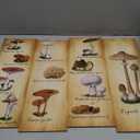Yookeer 4 Pcs Vintage Mushroom Wall Decor Mushrooms Art Wooden Sign Rustic Mushroom Kitchen Decor Fungus Aesthetic Poster for Bedroom Dining Room Living Room Office(15.7 x 5.2 Inch)