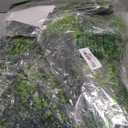 10 Pack 5.57ft Artificial Greenery Garland Lifelike Green Fake Vines Plastic Hanging Fern Leaf Garlands for Indoor Wall Mantel Home Decoration Wedding Arch Party Decor