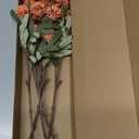 Floroom 5pcs Burnt Orange Faux Silk Mums Artificial Flowers, Bulk Fake Small Mini Chrysanthemums with Stems for DIY Terracotta Wedding Centerpieces Floral Arrangements Vase Fillers Home Decorations