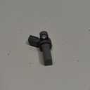Standard Motor Products PC462T Crankshaft Position Sensor