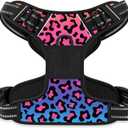 Rnivvi No Pull Dog Harness, Cute Leopard Reflective Medium Sized Puppy Kitten Harness, Adjustable Soft Padded Vest for Medium Dogs, Heavy Duty Pet Vest with Easy Control Handle for Walking, Neon