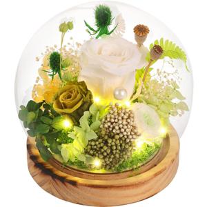 Preserved Flowers, Unique Rose flower Gifts Preserved Flower Gifts in Glass Dome for Women, Mom, Girlfriend and wife,Home Decor Gifts for Birthday, Mothers Day, Anniversary, Christmas, Wedding. (Whitegreen)