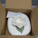 Biodegradable Urn Eco Burial Urns Biodegradable Water Urns Cremation Ocean Scattering Floating Urn for Human Ashes (LL)