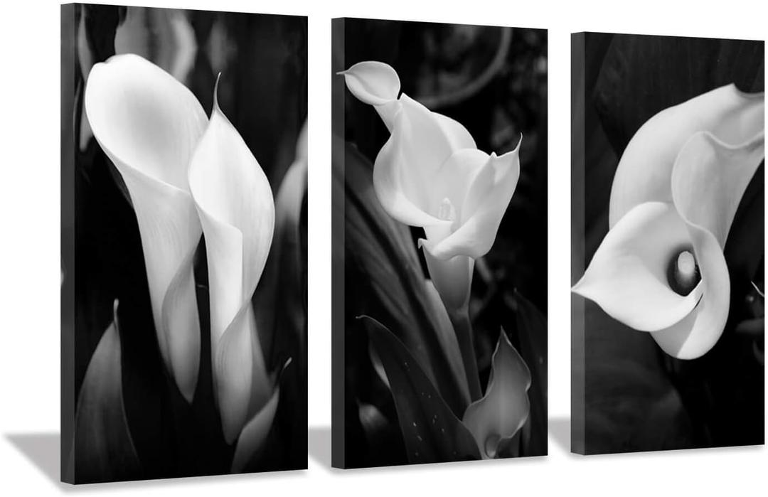 Hardy Gallery Floral Artwork Nature Flower Picture: Calla-Lily Print on Canvas Set for Wall Art (26"x16"x3 panels)