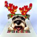 Schnauzer Christmas Pop Up Card  3D Holiday Greeting Card Featuring Adorable Schnauzer Dog with Festive Reindeer Antlers, Perfect for Dog Lovers, Unique Christmas Gift Card for Friends and Family