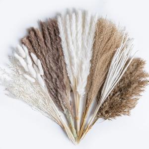96PCS Natural Dried Pampas Grass Boho Home Decor Bouquet Phragmites Dried Flowers Bouquet for Wedding Floral Arrangements Living Room Decorations (96PCS)