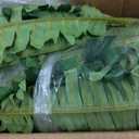 FOREST PRINCE 45" Fake Ferns, Realistic Large Artificial Bush Plants, 2 Artificial Boston Ferns with 59 Fronds for Outdoors Planter Indoor Home Garden Porch Decor (Green)