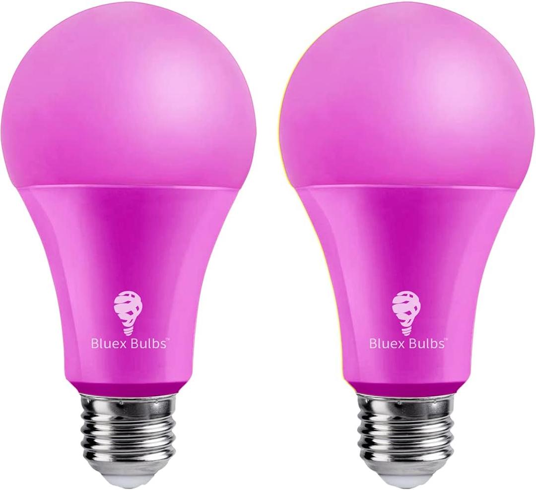 2 Pack BlueX LED A21 Pink Light Bulbs - 15W (120Watt Equivalent) - E26 Base, Party Decoration, Porch, Home & Holiday Lighting, Decorative Illumination
