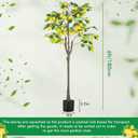 Jexine 2 Pack Artificial Lemon Tree 6 ft Tall Fake Plant Pre Potted Faux Lemon Tree Realistic Fruits for Indoor Home Decor Office Living Room