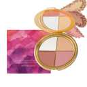 Eye & Cheek Palette  Eyeshadow and Highlighter Makeup (with Detachable Brush), Makeup Palettes Contour Kit, Shimmer Glow Face Highlighter Palette for Women Face, Natural Glow Contour Powder (1pcs)