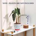 Selamica Ceramic Plant Pots, 5.6 Inch Flower Pots for Indoor Plants, Planters with Drainage Hole and Saucer, Garden Pots for Succulent, Orchid, Home Decor, Set of 4, Assorted Colors ,Assorted Colors, 5.6 inch, set of 4