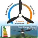 TALOYA 52 Inch Ceiling Fan with Led Light Remote Control Flush Mount Low Profile for Bedroom Farmhouse Patio Outdoor Living Room Kitchen Dining Room,DC Motor,Reversible,Black, 52 Inch-Standard