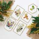 FOCHIER F 5 Pcs Pressed Flower Frames with Tweezers, Wall Hanging Tabletop Display Double Glass Frames with Metal Chain for Pressed Dried Flowers Plants, Horizontal and Vertical Picture Frame, Golden