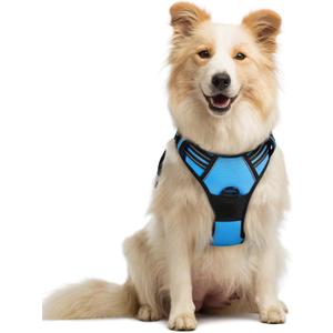 rabbitgoo Dog Harness No Pull with 2 Leash Clips, Adjustable Soft Padded, Reflective Oxford No Choke Pet Vest with Easy Control Handle for Medium Sized Dogs, Blue, Medi