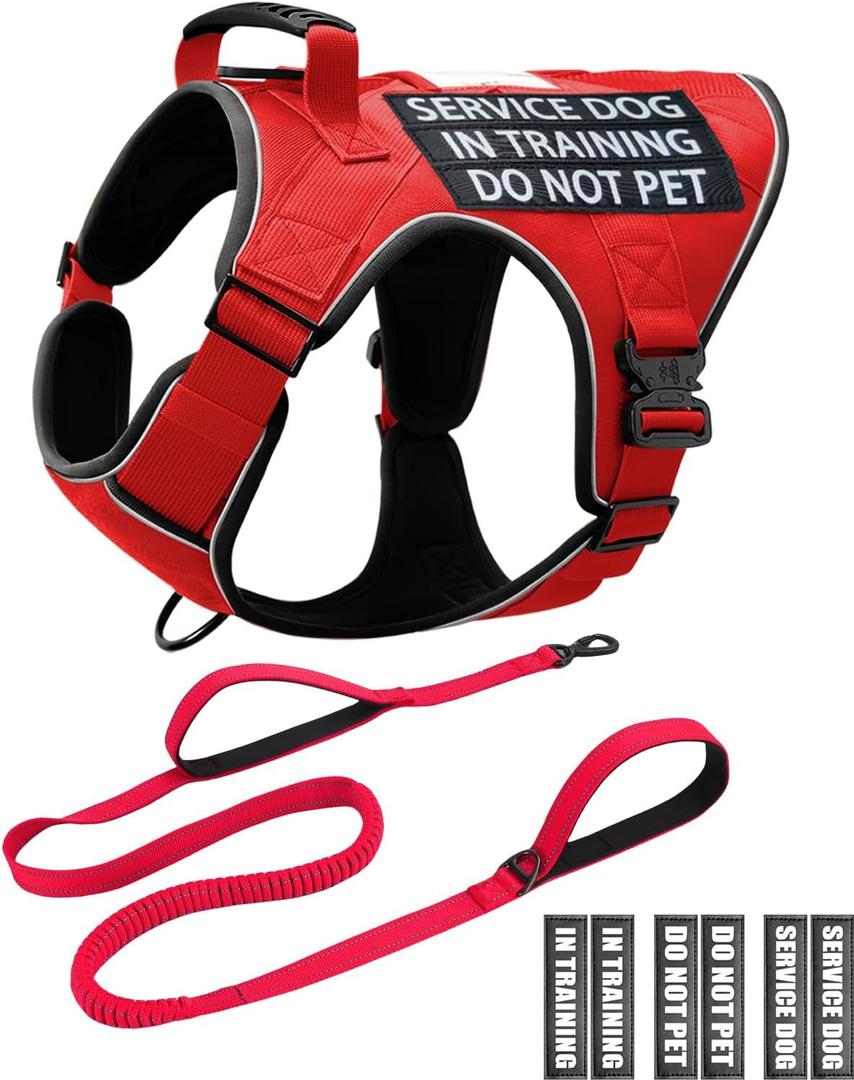 Reflective Red Service Dog in Training Vest Harness Leash Set for Medium Dogs, Adjustable Heavy Duty Padded Dog Harness, with Front Clip and Metal Buckles Do Not Pet for Training, Hiking (Small (20-45 lbs))