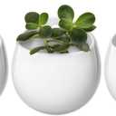 Mkono 4 Inch Wall Mounted Planter Round Ceramic Hanging Plant Holder Decorative Flower Display Vase Succulent Pots for Indoor Plants, Set of 3, White (Plants NOT Included)