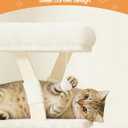 Cat Tree for Indoor Cats,40 Inches Cat Tower with Cozy Condo, Scratching Posts, Multi-Level Activity Center for Large Cats and Kittens, Beige