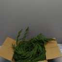 2 Pcs Christmas Garland with Lights 6 Ft, Real Touch Norfolk Pine Garland for Mantle, Christmas Decorations Indoor Outdoor for Wall Fireplace, Faux Greenery Cedar Garland Realistic for Table Decor