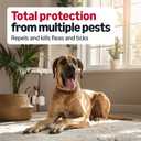 Amazon Basics Flea and Tick Topical Treatment and Prevention for Extra Large Dogs (89-132 lbs), Kills Fleas and Ticks, Waterproof, Monthly Application, 6 Count, Packaging May Vary