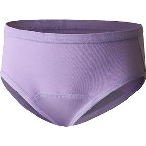 Hanes Girls' Hanes Toddler Girls' Potty Trainer Briefs, 5 Pack,2 T-3T