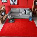 Fluffy Red Rugs for Bedroom Living Room, Shag Dorm Area Rug, 4x6 Ft