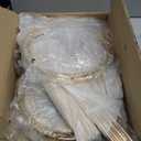 3PCS Cylinder Stands for party, Gold Metal Round Pedestal stand, flower stand, Plant stand, cake stand, Display Stand Tables for Weddings Party Birthday festival Backdrop Decoration