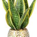 Hollyone Artificial Snake Plant Potted Faux Sansevieria Trifasciata Plants, 13" Tropical Fake Plants in Ceramic Pots for Home Office Room Indoor Decor Housewarming Gifts (Green-13" Style 2)
