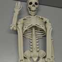 3FT Halloween Skeleton Decoration  Full Body 36 Posable Skeleton with Movable Joints, Life-Size Plastic Skeleton Prop for Indoor & Outdoor Haunted House, Graveyard, Porch & Party Dcor