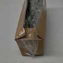 120 Pcs 4 Kinds Mixed Artificial Eucalyptus Leaves Stems Bulk Fake Silver Dollar Eucalyptus Bundle Faux Plants Greenery for DIY Bouquets Floral Arrangement Wedding Engagement Party Decor (Green)