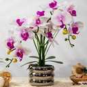 Artificial Orchids Flowers with Vase for Table Centerpieces, Real Touch Faux White Orchid Phalaenopsis in Ceramic Vase for Home Wedding Kitchen Decoration (Silver Vase, White Purple)