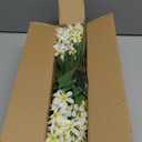 Artificial Flowers 3 Pcs Hyacinth Fake Flowers 19.69 Silk Flowers for Outside, Delphinium Outdoor Faux Flowers Fake Plants for Porch Patio Balcony Yard Indoor Home Decor