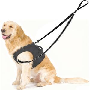 Two Point Control Dog Leash,No Tangle Dog Training Leashes,4ft Black Dog Leash Converts to Single Training Leashes for Medium Large Dogs