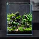 Cirrsondy 5.18 Gallon Glass Fish Tank, Low Maintenance Small Aquarium for Betta Fish, Snails, Shrimp & Aquatic Plants