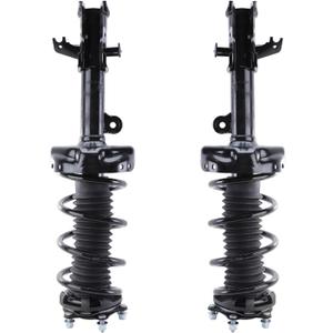 RAYTEN 272492/272491 Front Suspension Strut and Coil Spring Assembly