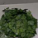 Fake Vines for Room Decor 48PCS Artificial Ivy Garland with Clip 336FT Green Flowers Hanging Plants Faux Greenery Leaves Bedroom Aesthetic Decor for Home Garden Wall Wedding