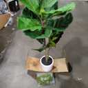Fiddle Leaf Fig Tree Artificial - 41" Faux Fiddle Leaf Fig Tree with White Planter - Fig Tree Artificial with Lifelike Leaves for House Office Living Room Indoor Home Decor