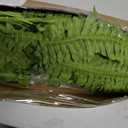 42" Artificial Boston Ferns, Bush Plants 2 Pack for Outdoors